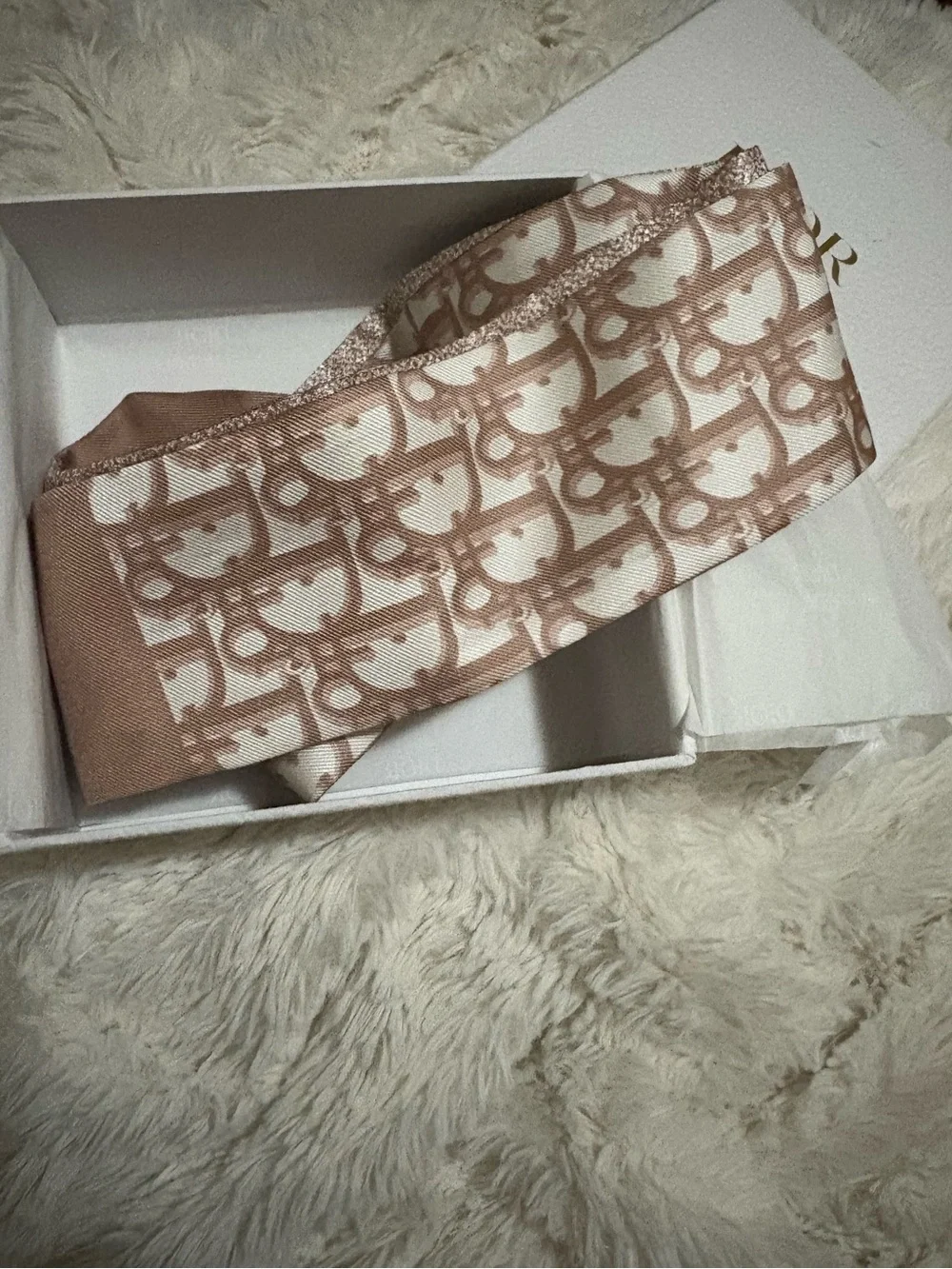 Dior signature oblique